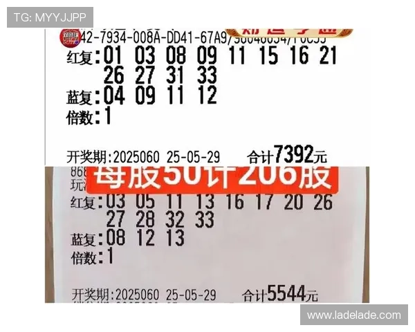 百家乐庄闲概率统计数据详解，帮助玩家理性分析投注风险与机会