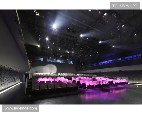 腾龙真人现场演出场地介绍，选择最佳位置享受极致视听盛宴