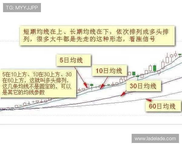 掌握百家乐必胜人的核心秘诀:从新手到高手的实战攻略